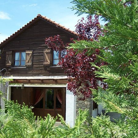 Arachova Houses Villa Esterno foto