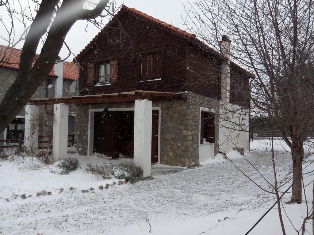 Arachova Houses Villa Esterno foto