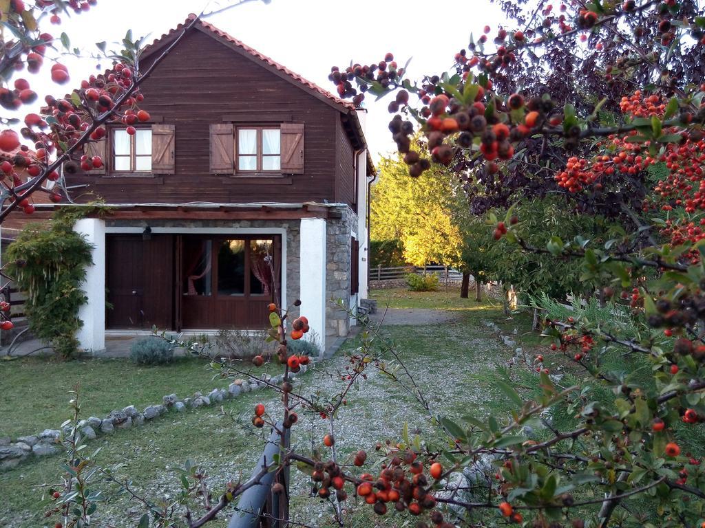 Arachova Houses Villa Esterno foto